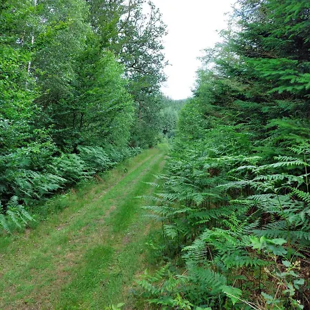 Nocleg ze śniadaniem A L'inattendue 4*