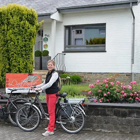 A L'inattendue 4* Bertrix