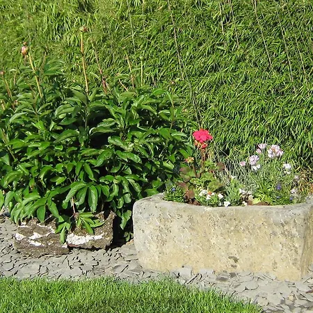 Bed & Breakfast A L'inattendue Bertrix